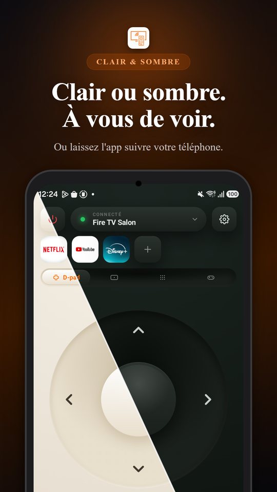 Télécommande Fire TV
