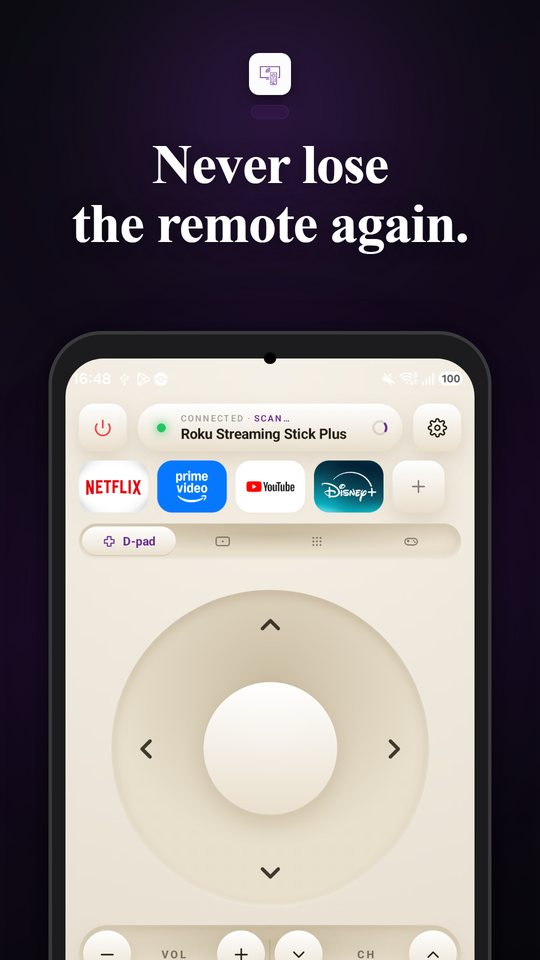 Roku Remote