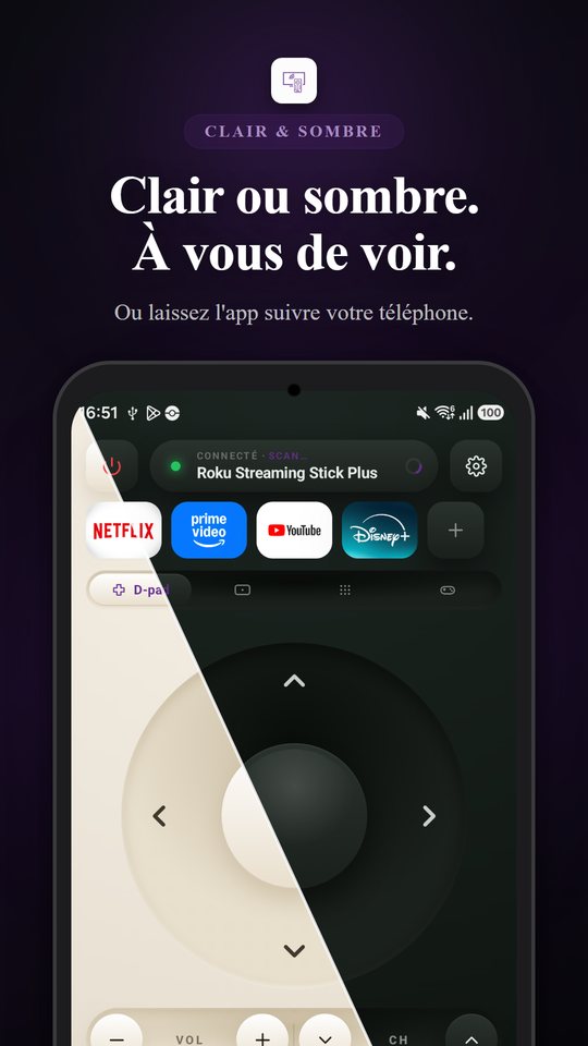 Télécommande Roku